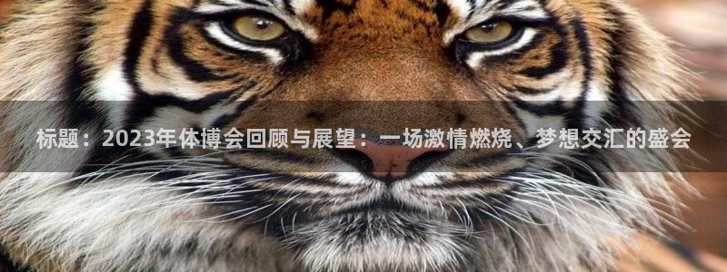 三亿体育网页版：标题：2023年体博会回顾与展望：一场激情燃烧、梦想交汇的盛会