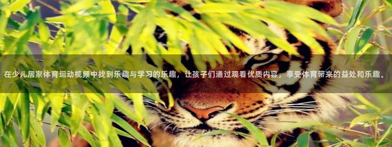三亿体育网：在少儿居家体育运动视频中找到乐趣与学习的乐趣，让孩子们通过观看优质内容，享受体育带来的益处和乐趣。