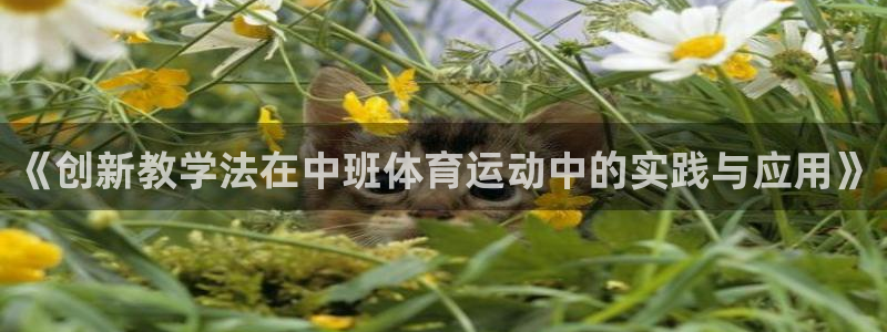 三亿体育网页版：《创新教学法在中班体育运动中的实践与应用》