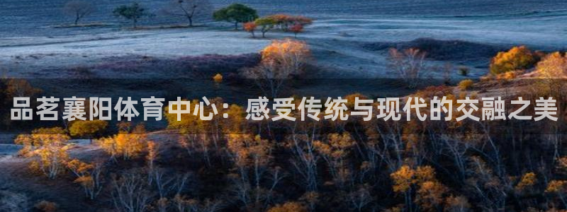 三亿体育：品茗襄阳体育中心：感受传统与现代的交融之美