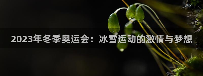 三亿体育网页版：2023年冬季奥运会：冰雪运动的激情与梦想