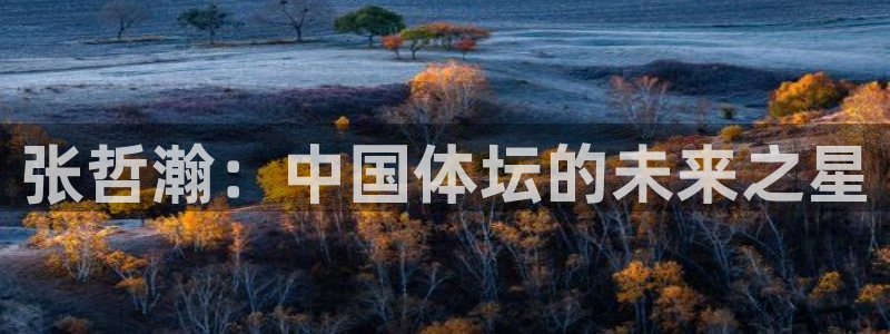 三亿体育网页版：张哲瀚：中国体坛的未来之星