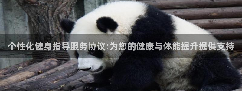 三亿体育网页版：个性化健身指导服务协议:为您的健康与体能提升提供支持