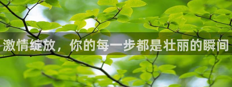 三亿体育登录：激情绽放，你的每一步都是壮丽的瞬间
