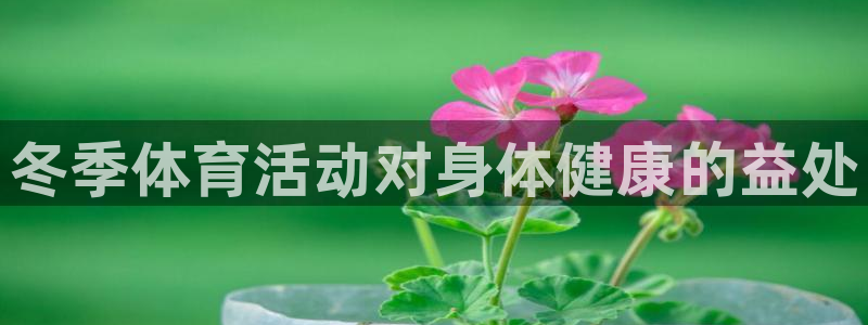 三亿体育网：冬季体育活动对身体健康的益处