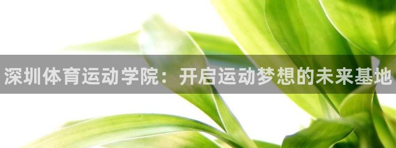 三亿体育网：深圳体育运动学院：开启运动梦想的未来基地
