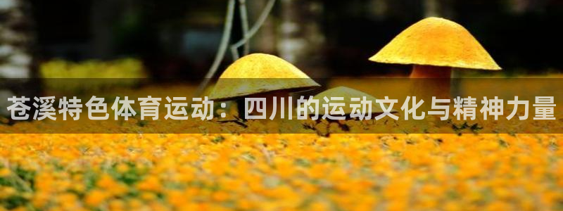 三亿体育登录：苍溪特色体育运动：四川的运动文化与精神力量