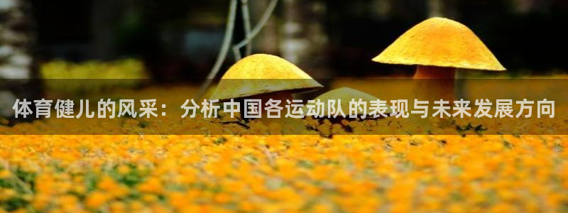 三亿体育网页版：体育健儿的风采：分析中国各运动队的表现与未来发展方向