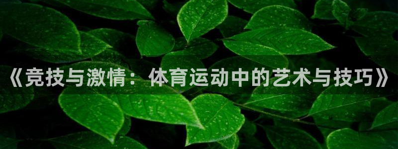 三亿体育登录：《竞技与激情：体育运动中的艺术与技巧》