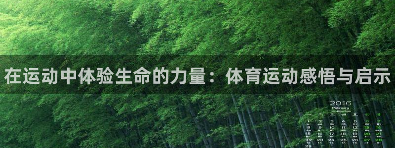 三亿体育网页版：在运动中体验生命的力量：体育运动感悟与启示