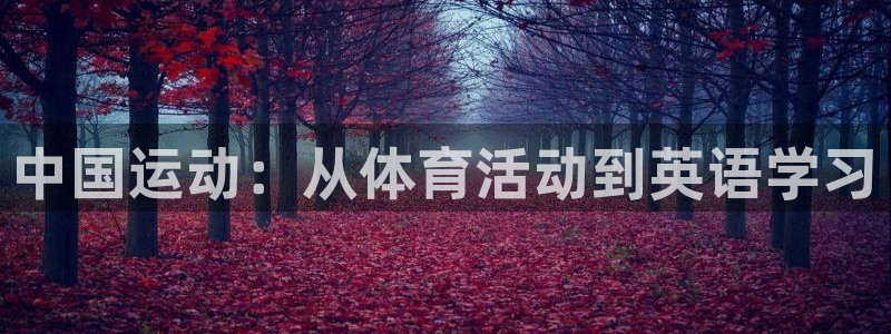 三亿体育网：中国运动：从体育活动到英语学习