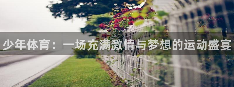 三亿体育：少年体育：一场充满激情与梦想的运动盛宴
