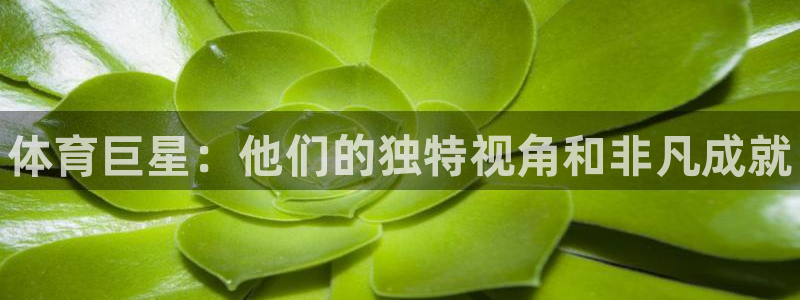 三亿体育：体育巨星：他们的独特视角和非凡成就