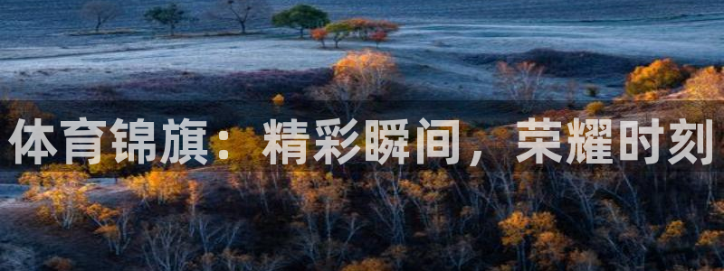 三亿体育网：体育锦旗：精彩瞬间，荣耀时刻