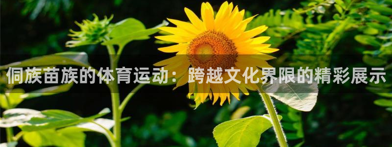 三亿体育网页版：侗族苗族的体育运动：跨越文化界限的精彩展示