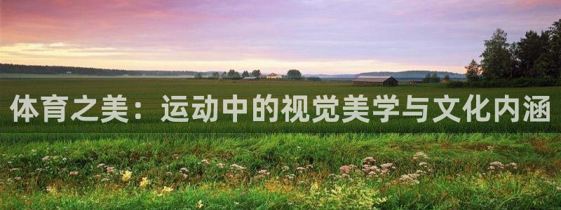 三亿体育：体育之美：运动中的视觉美学与文化内涵