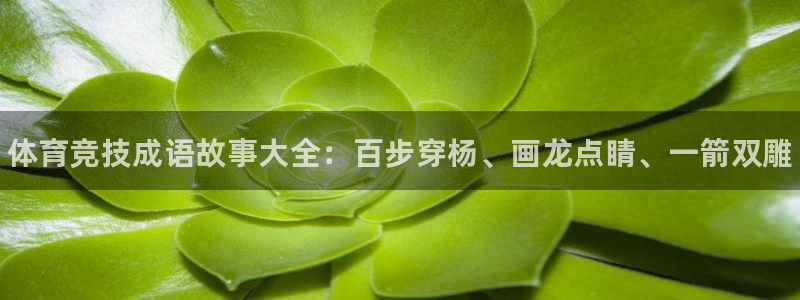 三亿体育登录：体育竞技成语故事大全：百步穿杨、画龙点睛、一箭双雕
