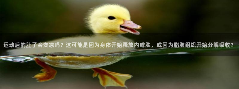 三亿体育登录：运动后的肚子会变凉吗？这可能是因为身体开始释放内啡肽，或因为脂肪组织开始分解吸收？