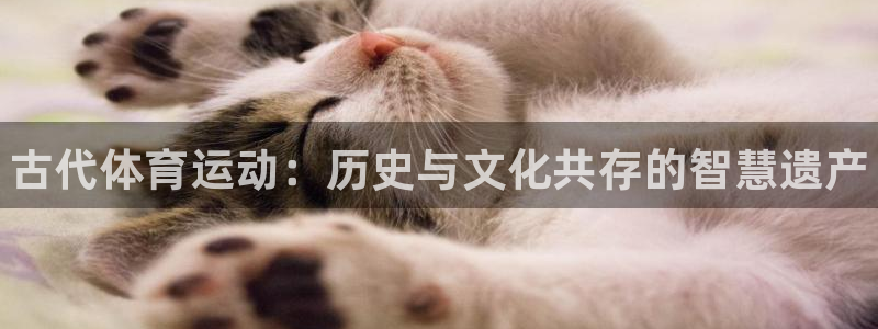 三亿体育网页版：古代体育运动：历史与文化共存的智慧遗产