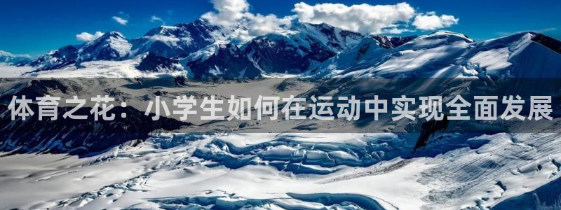 三亿体育网：体育之花：小学生如何在运动中实现全面发展