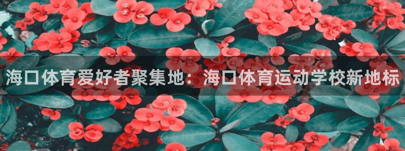 三亿体育网页版：海口体育爱好者聚集地：海口体育运动学校新地标