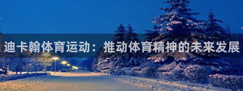 三亿体育：迪卡翰体育运动：推动体育精神的未来发展