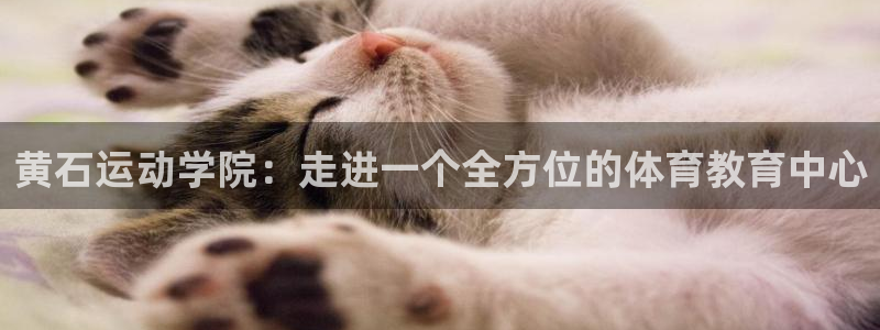 三亿体育：黄石运动学院：走进一个全方位的体育教育中心