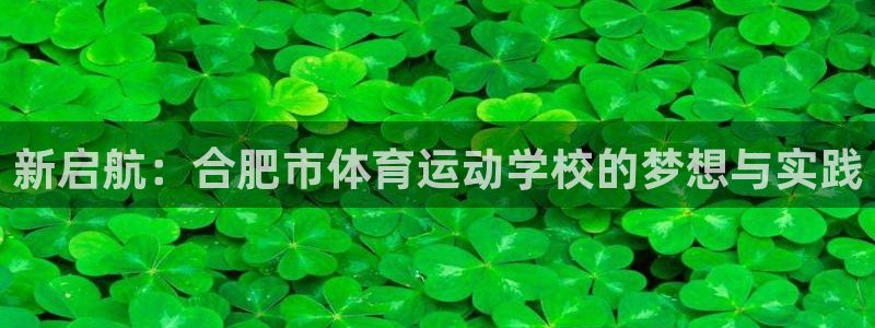 三亿体育登录：新启航：合肥市体育运动学校的梦想与实践