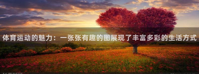 三亿体育登录：体育运动的魅力：一张张有趣的图展现了丰富多彩的生活方式