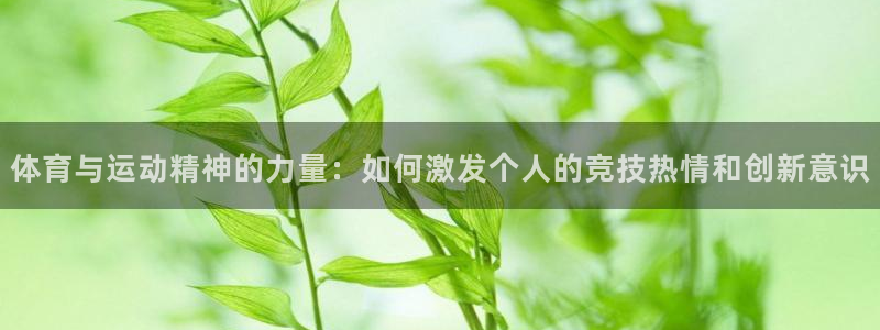 三亿体育网：体育与运动精神的力量：如何激发个人的竞技热情和创新意识