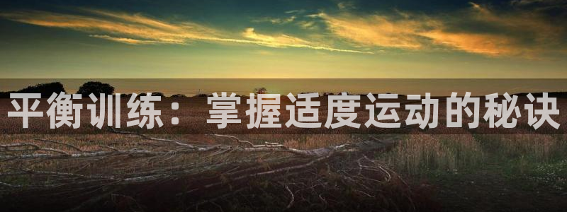 三亿体育网页版：平衡训练：掌握适度运动的秘诀