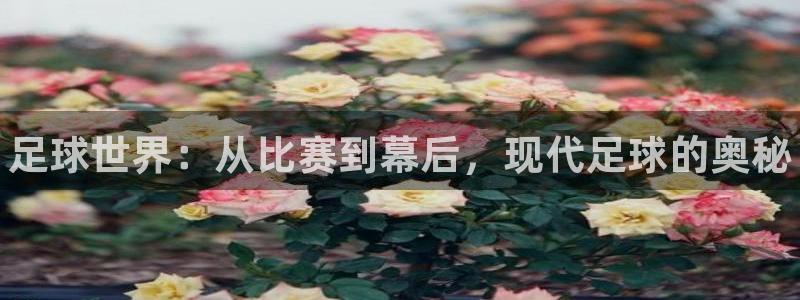 三亿体育网：足球世界：从比赛到幕后，现代足球的奥秘