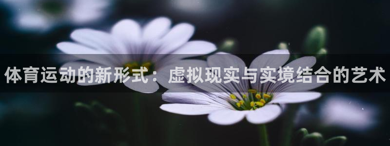 三亿体育：体育运动的新形式：虚拟现实与实境结合的艺术