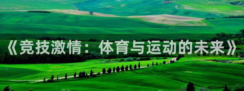 三亿体育网页版：《竞技激情：体育与运动的未来》