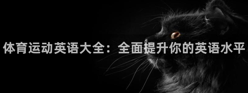 三亿体育网：体育运动英语大全：全面提升你的英语水平