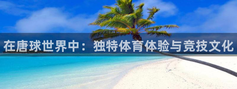 三亿体育网：在唐球世界中：独特体育体验与竞技文化