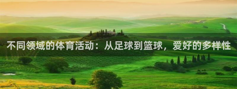 三亿体育：不同领域的体育活动：从足球到篮球，爱好的多样性