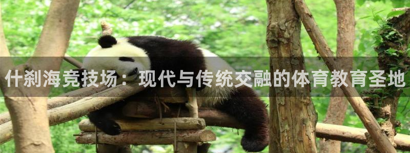 三亿体育网：什刹海竞技场：现代与传统交融的体育教育圣地