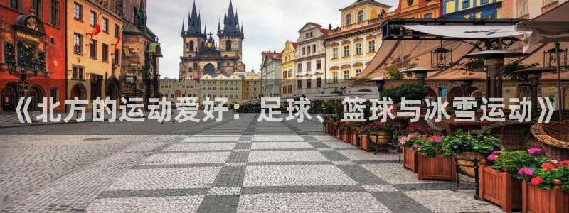 三亿体育登录：《北方的运动爱好：足球、篮球与冰雪运动》