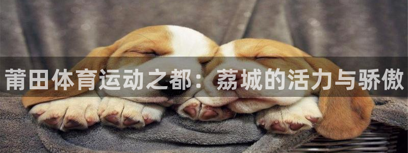 三亿体育网页版：莆田体育运动之都：荔城的活力与骄傲
