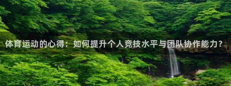 三亿体育网